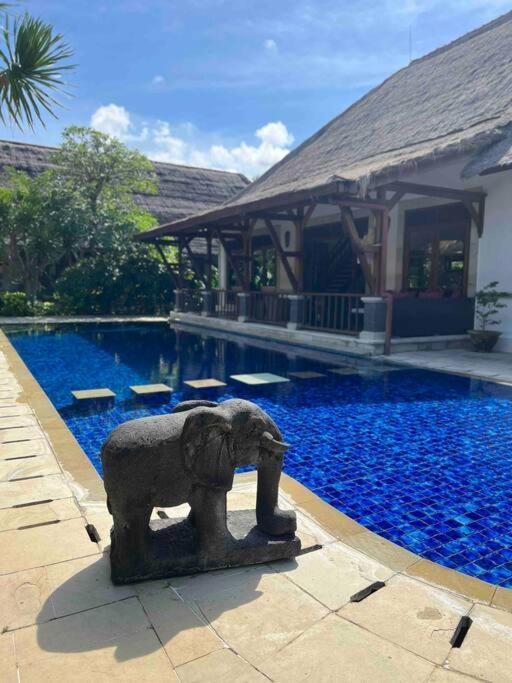 Bali Berg Villa, Sanur ภายนอก รูปภาพ