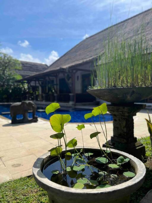 Bali Berg Villa, Sanur ภายนอก รูปภาพ